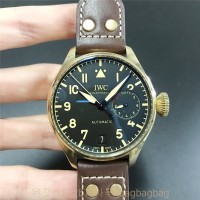 IWC 파일럿