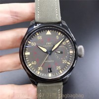 IWC 파일럿