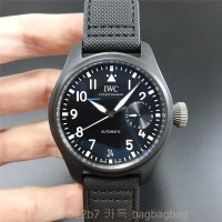 IWC 파일럿