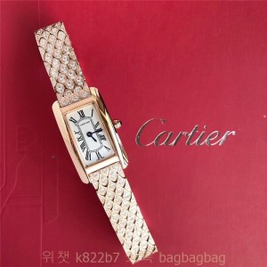 까르띠에 Cartier 산토스