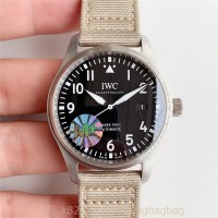 IWC 파일럿