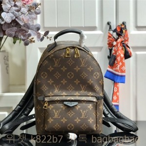루이비통 Louis Vuitton 팜 스프링스 백팩 M41562