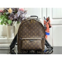 루이비통 Louis Vuitton 팜 스프링스 백팩 M41562