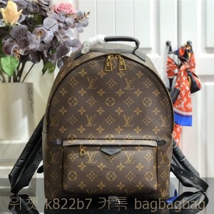 루이비통 Louis Vuitton 팜 스프링스 백팩 M41562