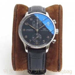 샤프하우젠 IWC