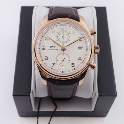 샤프하우젠 IWC