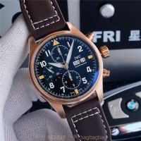 샤프하우젠 IWC