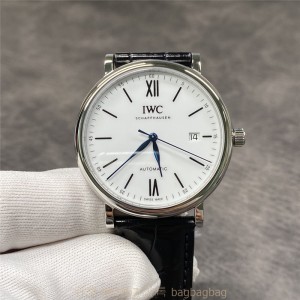샤프하우젠 IWC