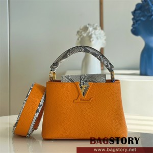루이비통 Louis Vuitton  카퓌신미니 21CM M95509