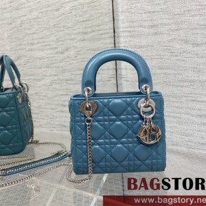 디올 DIOR 레이디백17CM