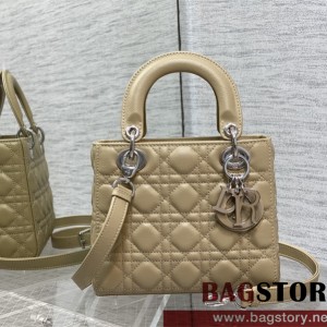 디올 DIOR 레이디백20CM