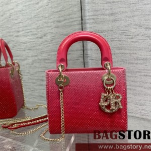 디올 DIOR 레이디백17CM