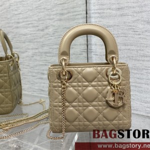 디올 DIOR 레이디백17CM