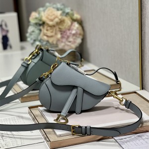 디올 DIOR 새들백21CM