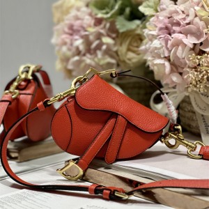 디올 DIOR 새들백12CM