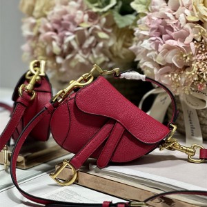 디올 DIOR 새들백12CM