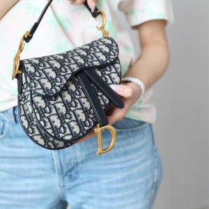 디올 DIOR 새들백21CM