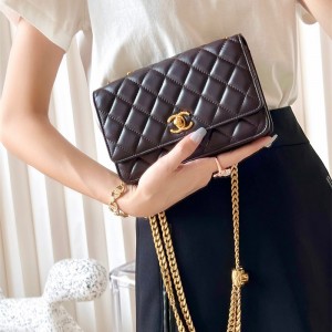 샤넬 CHANEL WOC 체인 크로스백 금장/은장