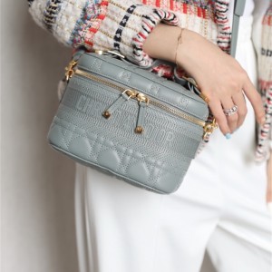 디올 DIOR 케이스 스몰 베니티