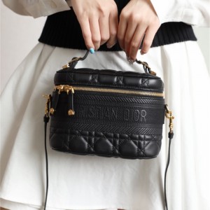 디올 DIOR 케이스 스몰 베니티