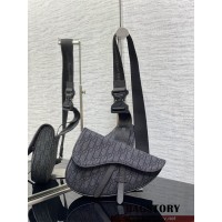 디올 DIOR 오블리크 벨트백 범백 