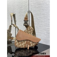 디올 DIOR 벨트백 범백 