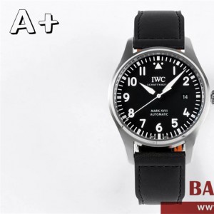 샤프하우젠 IWC