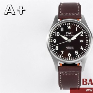 샤프하우젠 IWC