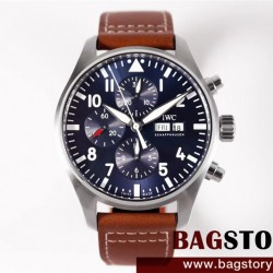 샤프하우젠 IWC