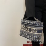 디올 DIOR 케이스 베니티