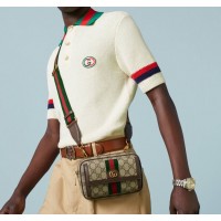 구찌 GUCCI  오피디아  GG 미니백 746308