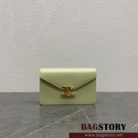 셀린느 CELINE 트리옹프 캔버스 체인 지갑 크로스백 100788