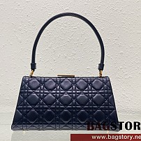 디올 DIOR 핫신상 레이디 핸드백