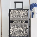 디올 DIOR 캐리어 기내용