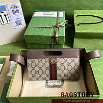 구찌 GUCCI 오피디아 벨트백 힙색 704196