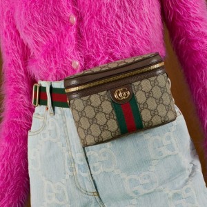 구찌 GUCCI 오피디아  웹(WEB) 벨트백 699765