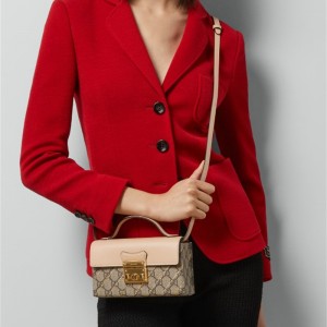 구찌 GUCCI 패들락 홀스빗 프린트 미니백 774342