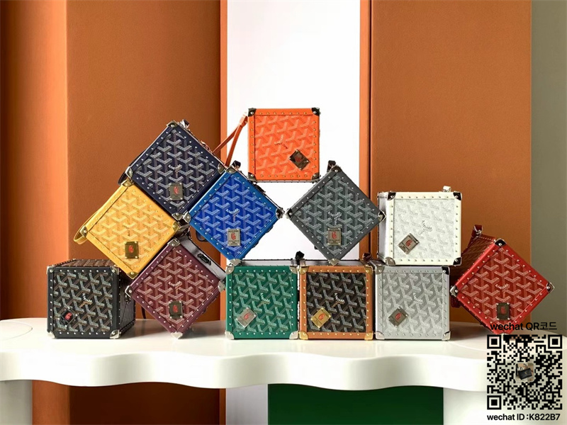 고야드 GOYARD 데 트렁크백