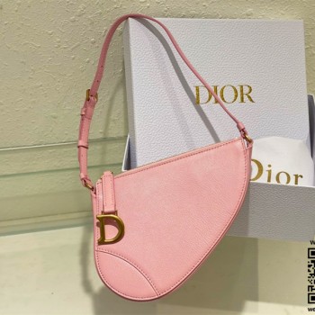 디올 DIOR 새들백 20CM