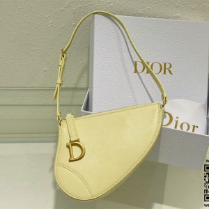 디올 DIOR 새들백 20CM