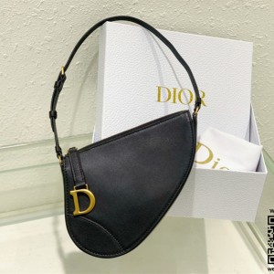 디올 DIOR 새들백 20CM