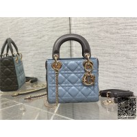 디올 DIOR 레이디백17CM