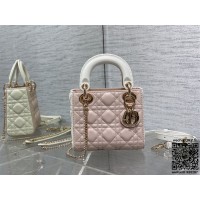 디올 DIOR 레이디백17CM