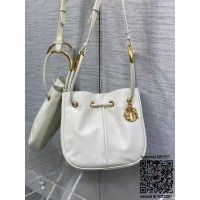 디올 DIOR 신상 노리타 미디움백