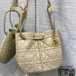 디올 DIOR 신상 노리타 미디움백