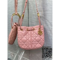 디올 DIOR 신상 노리타 미디움백