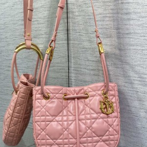 디올 DIOR 신상 노리타 미디움백