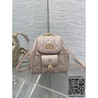 디올 카로 스몰 백팩