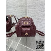 디올 카로 스몰 백팩