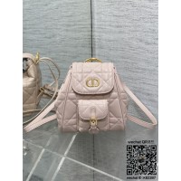 디올 카로 스몰 백팩